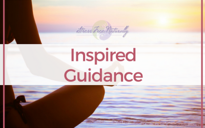 40: Inspired Guidance