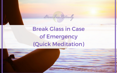 7: Break Glass in Case of Emergency (Quick Meditation)